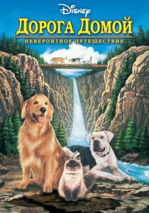 смотреть Дорога домой: Невероятное путешествие (1993)