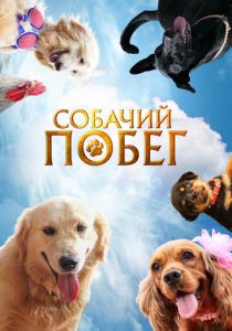 смотреть фильм Собачий побег (2024) фильм Собачий побег (2024) онлайн