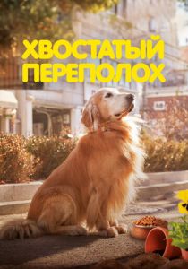 фильм Хвостатый переполох (2024) онлайн