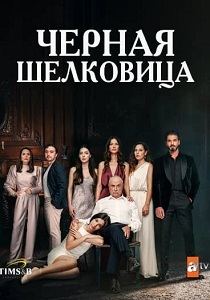 смотреть Чёрная шелковица (2024)