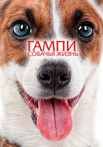 фильм Гампи. Собачья жизнь (2025) онлайн
