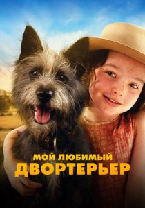 смотреть фильм Мой любимый двортерьер (2024) фильм Мой любимый двортерьер (2024) онлайн